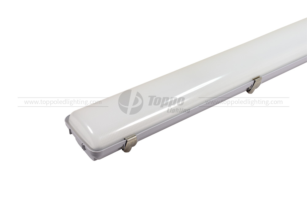 TUV/GS Hot Sell Plastic Waterproof Light 3000-6000 CCT CE Rohs Approved